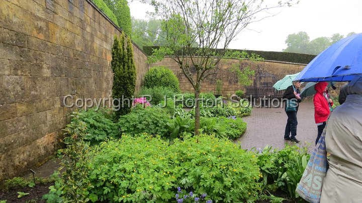Alnwick - Poison Garden - 3